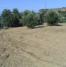 foto 0 - Reggio Calabria terreno agricolo uliveto a Reggio di Calabria in Vendita