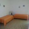foto 4 - Isola d'Elba Porto Azzurro appartamento a Livorno in Affitto