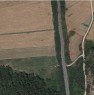 foto 3 - Alviano terreni con ulivi a Terni in Vendita