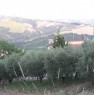 foto 8 - Porchia di Montalto Marche casa a Ascoli Piceno in Vendita