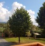 foto 1 - Villa indipendente a Sarzana a La Spezia in Vendita