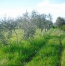 foto 6 - Terreno agricolo in Santa Venerina a Catania in Vendita
