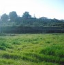 foto 3 - Terreno agricolo in Santa Venerina a Catania in Vendita