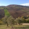 foto 0 - Cingoli terreni a Macerata in Vendita