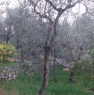 foto 2 - Terreno agricolo sopra la localit di Sommavilla a Verona in Vendita