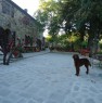foto 6 - Pomarance casale in pietra a Pisa in Vendita