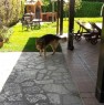 foto 15 - Sommatino villetta contornata da grande giardino a Caltanissetta in Vendita