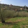 foto 3 - Rocca Priora terreno coltivato a noccioleto a Roma in Vendita