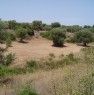 foto 3 - Ostuni terreno nel parco naturale delle dune a Brindisi in Vendita