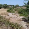 foto 1 - Ostuni terreno nel parco naturale delle dune a Brindisi in Vendita