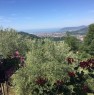 foto 7 - Carrara villetta panoramica con terreno a Massa-Carrara in Vendita