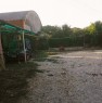 foto 3 - Basiliano casa con pannelli solari a Udine in Vendita
