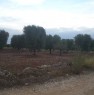 foto 1 - Brindisi terreno agricolo a Brindisi in Vendita