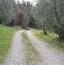 foto 4 - Pontedera terreno agricolo in zona collinare a Pisa in Vendita
