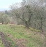 foto 0 - Pontedera terreno agricolo in zona collinare a Pisa in Vendita