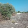 foto 7 - Bari terreno zona Sant'Anna Japigia a Bari in Vendita