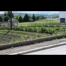 foto 2 - Terreni edificabili in zona Bivio a Campobasso in Vendita