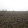 foto 2 - Fratta Polesine terreno agricolo a Rovigo in Vendita