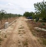 foto 3 - Ruvo di Puglia ciliegieto e uliveto a Bari in Vendita