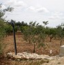 foto 0 - Ruvo di Puglia ciliegieto e uliveto a Bari in Vendita