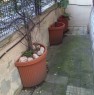 foto 4 - Roma bilocale con box auto e giardino a Roma in Vendita
