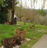 foto 2 - Terranuova Bracciolini immerso nel verde rustico a Arezzo in Vendita