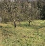 foto 3 - Palombara Sabina terreno agricolo con frutteto a Roma in Vendita