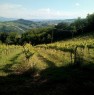 foto 1 - Cesena azienda vinicola a Forli-Cesena in Vendita