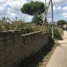 foto 1 - Ardea via Pontina Vecchia terreno agricolo a Roma in Vendita