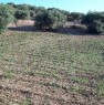 foto 0 - Bagheria terreno in contrada Ranteria Incorvino a Palermo in Vendita