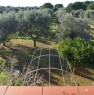 foto 6 - Sava da privato villa immersa nel verde a Taranto in Vendita