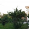 foto 1 - Crotone in localit Poggio Pudano villa a Crotone in Affitto