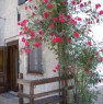 foto 18 - Castell'Azzara tradizionale terratetto toscano a Grosseto in Vendita