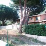 foto 6 - Portoferraio vicino a Bagnaia bilocale a Livorno in Affitto