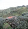 foto 0 - Santa Lucia del Mela terreno agricolo con casetta a Messina in Vendita