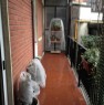 foto 4 - Novate Milanese bilocale arredato a Milano in Affitto