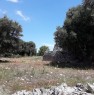 foto 6 - Ostuni terreno con trullo rustico a Brindisi in Vendita
