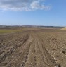 foto 0 - Lucera contrada Ripatetta terreni ad uso agricolo a Foggia in Vendita