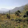 foto 11 - Lioni contrada Oppido terreno agricolo con rustico a Avellino in Vendita