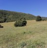 foto 7 - Lioni contrada Oppido terreno agricolo con rustico a Avellino in Vendita