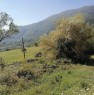 foto 6 - Lioni contrada Oppido terreno agricolo con rustico a Avellino in Vendita