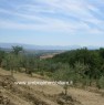 foto 5 - Gualdo Cattaneo Pozzo appezzamento di terreno a Perugia in Vendita