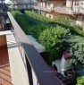foto 4 - Appartamento recente costruzione in Marino a Roma in Vendita