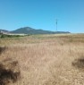 foto 4 - Sassari terreno agricolo con rudere a Sassari in Vendita