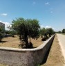 foto 7 - Corigliano d'Otranto rustico con terreno agricolo a Lecce in Vendita