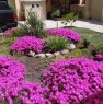 foto 6 - Alghero casa con giardino e garage doppio a Sassari in Vendita