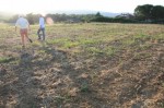 Annuncio vendita Appezzamento di terreno a Monte San Savino
