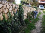 Annuncio vendita Casa con giardino a Gravina in Puglia