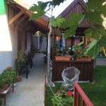 Annuncio vendita Arad casa con giardino