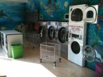 Annuncio vendita Quartu Sant'Elena attivit di lavanderia